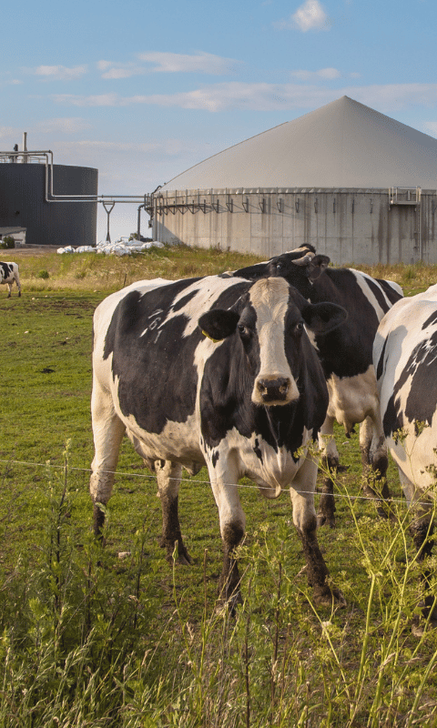 digester gas